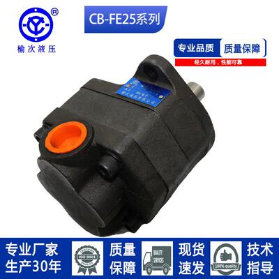 榆次液压款齿轮油泵CB-FE10/16/20/25/31.5/40/50/63-E/F-F1L1