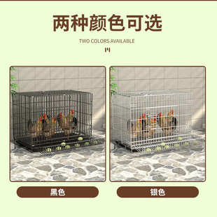 鸡窝特大号自动鸡笼殖狗粪滚蛋笼养清阳台家禽室外鸡舍子折叠家用