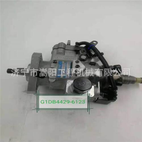 发动机G1DB4429-6123喷油泵喷射泵柴油泵销售