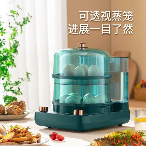二万瑞尔WON蒸REALYB-5007分电蒸锅家用不串味区分时两层汽锅蒸蛋