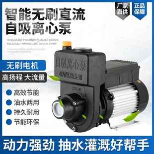 无刷直流自吸离心泵抽油泵环卫洒水车水泵48V60V72V高扬程电瓶泵