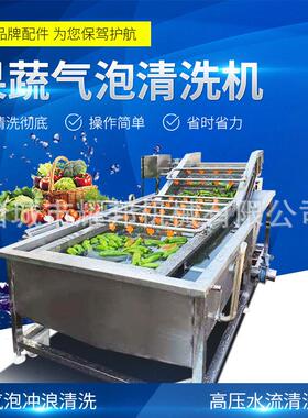 连续式果蔬气泡清洗机葡萄水果蔬菜清洗设备鼓泡全自动洗菜机器