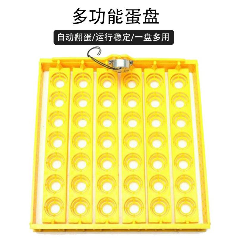 自动小型家用款孵化器全专GRE用翻蛋盘蛋鸡鸭鹅盘塑料带电机孵化