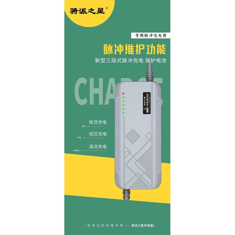 骑派之星两轮三轮电动车电瓶充电器48V60V72伏V80V96V伏20安到60A
