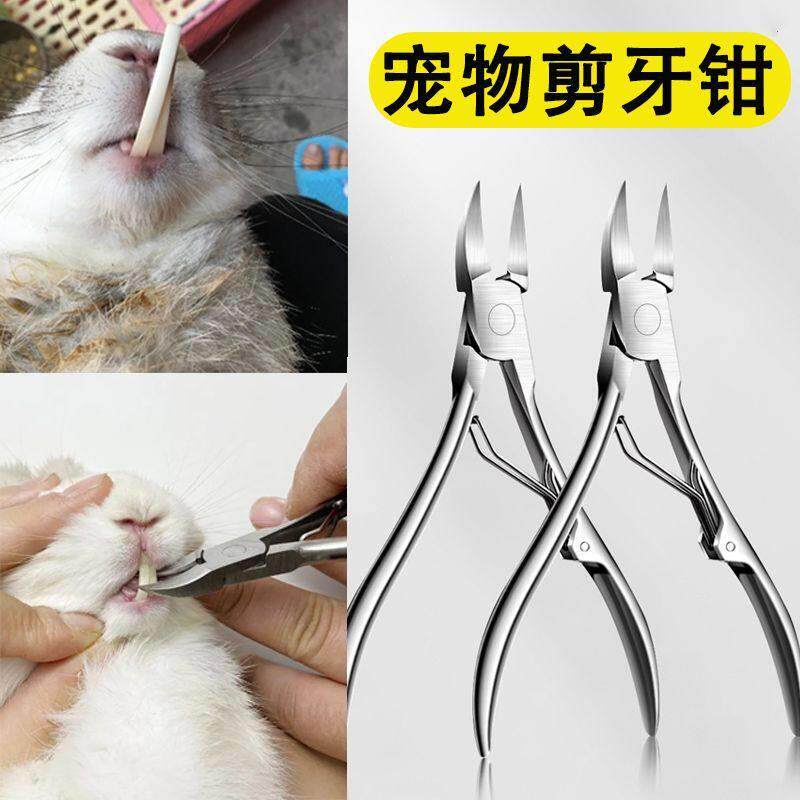 兔子用品大全剪牙钳宠物仓鼠剪牙齿指甲剪新手断牙器猫狗剪牙器