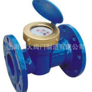 上海滨大水表厂 滨大牌水表液封水表旋翼式水表LXS-100 DN80