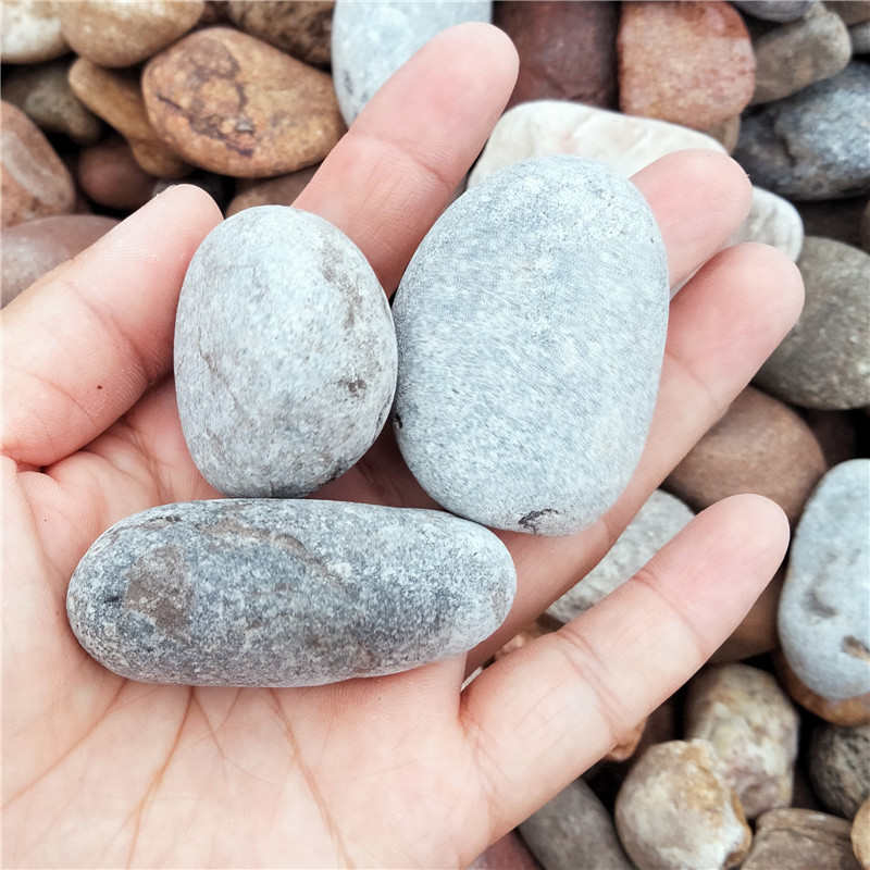 鹅卵石 鱼缸垫底 工程铺路 庭院铺设鹅卵石