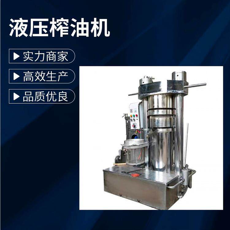 立式液压芝麻香油机 冷榨核桃油机器 小型加工山茶籽油设备