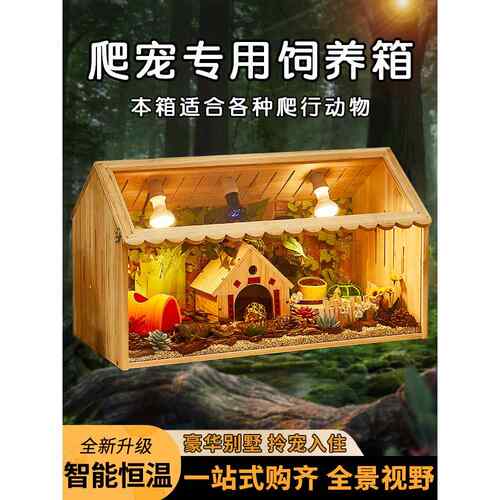 爬宠饲养箱鬃狮蜥变色龙角蛙守宫蜥蜴造景恒温箱刺猬蛇爬虫保温箱