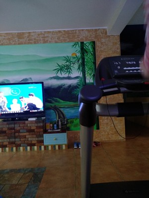 懂行的来说下舒华跑步机怎么样，老司机深度剖析真心话