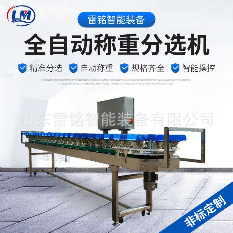 鱿鱼仔自动分拣机清江鱼称重分级机沙丁鱼生蚝小龙虾重量分选设备