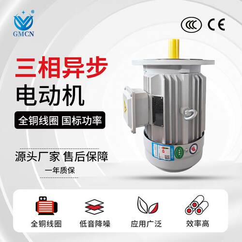 6极三相异步电动机YE3-80M1/M2-6电机0.37W/0.55W380V马达