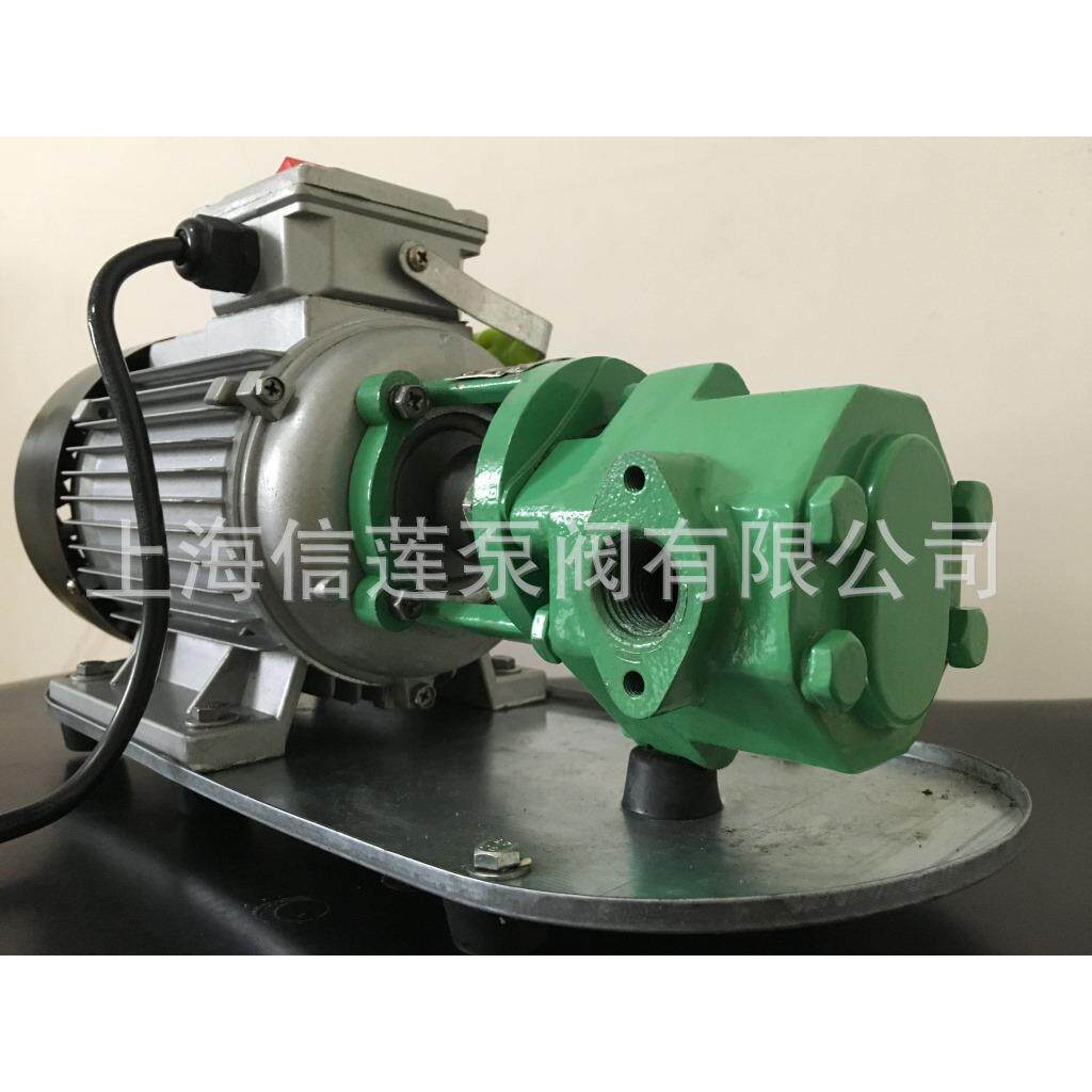 齿轮泵 WCB微型输油泵 自吸便携式油料运输泵 手提式油桶油泵