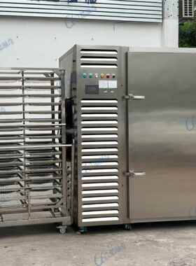 工程款453 大型推车制品米粉超低温零下80度速冻豆机鱼虾海冻鲜速