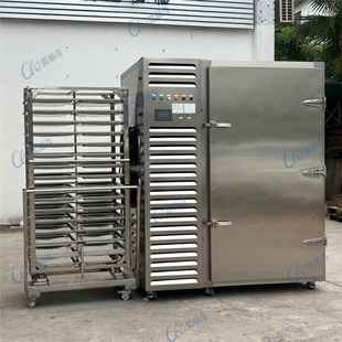 m果芝麻汤圆极速冷机 餐饮行业送配蔬冻肉制品前690期速冻柜设备