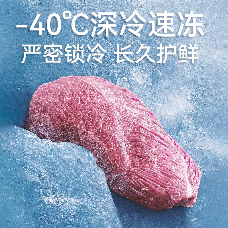 保穗凌冰柜商用卧式大容量急冻冰箱海茶肉类冷冻鲜柜冷藏叶鲜EVZ图片