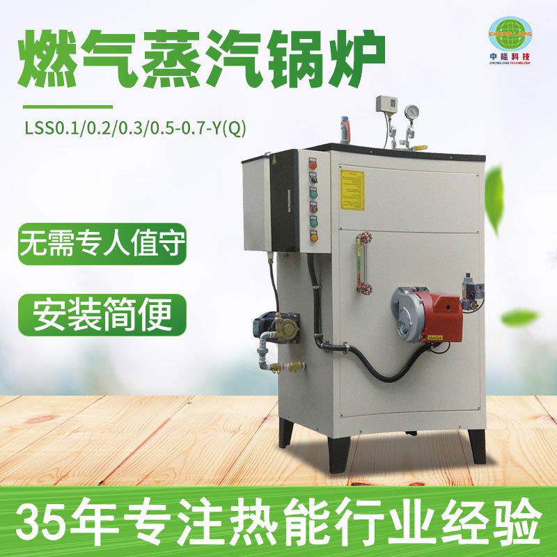 环保节能燃气蒸汽锅炉电加热蒸汽发生器 纺织食品全自动蒸汽锅炉