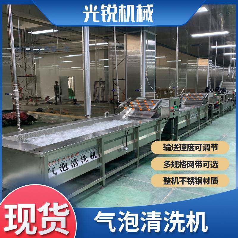 全自动果蔬清洗机不锈钢气泡蔬菜清洗机多功能果蔬清洗机洗菜机