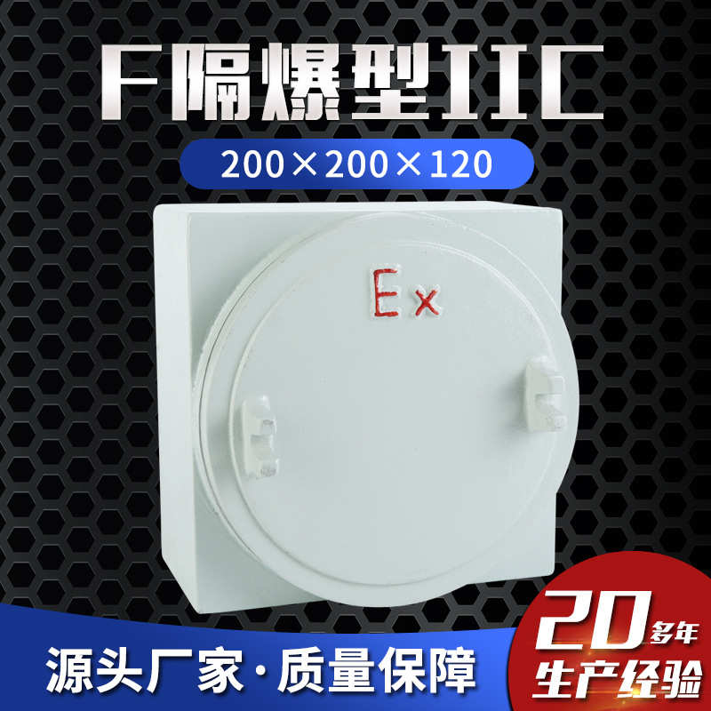 隔爆型C级ⅡC 200×200×120接线箱 防爆控制箱 防爆配电箱
