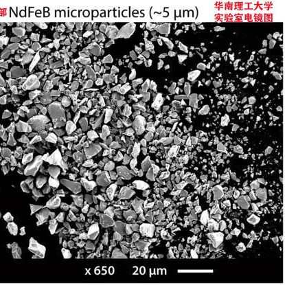 LW-N-300目(75μm微米)各向同性粘结钕铁硼磁粉/NdFeB稀土硬磁粉