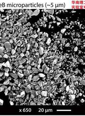 LW-N-300目(75μm微米)各向同性粘结钕铁硼磁粉/NdFeB稀土硬磁粉