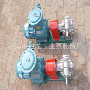 供应 KCB不锈钢齿轮泵 白钢泵 泊头齿轮泵 化工泵 泊头油泵厂