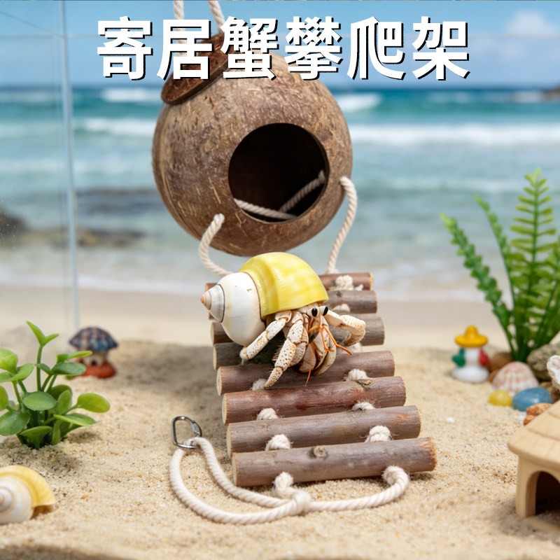 寄居蟹攀爬架专用景观造景天然椰壳躲避屋耐用饲养箱摆件装饰用品