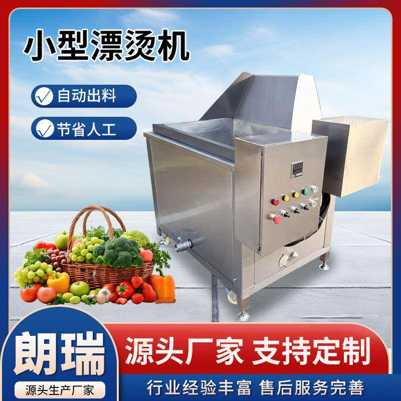 全自动果蔬漂烫机西蓝花杀青烫煮漂烫设备不锈钢漂烫杀菌漂烫机