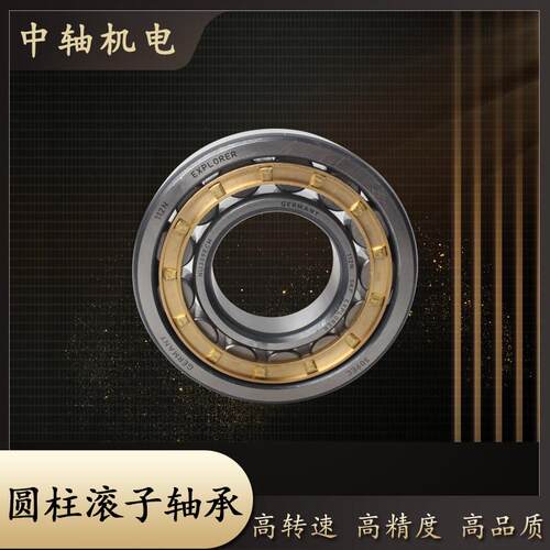 ZWZ圆柱轴承N NU NJ303 304 305 306 307 308 309 310 311EMC3
