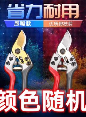 剪枝果树修枝剪电剪刀园艺园林花枝家用强力剪子花剪锋利枝条树枝
