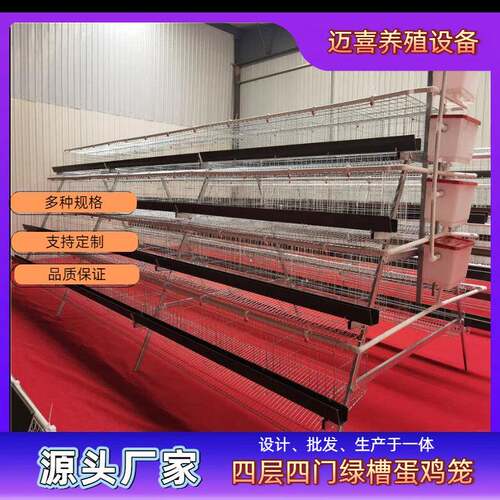 四层四门绿槽蛋鸡笼镀锌工艺耐用耐腐蚀