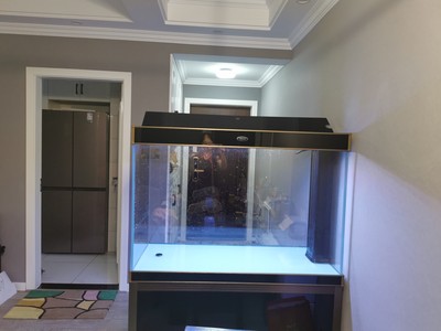 汉霸鱼缸怎么样？听说容易爆缸是吗？