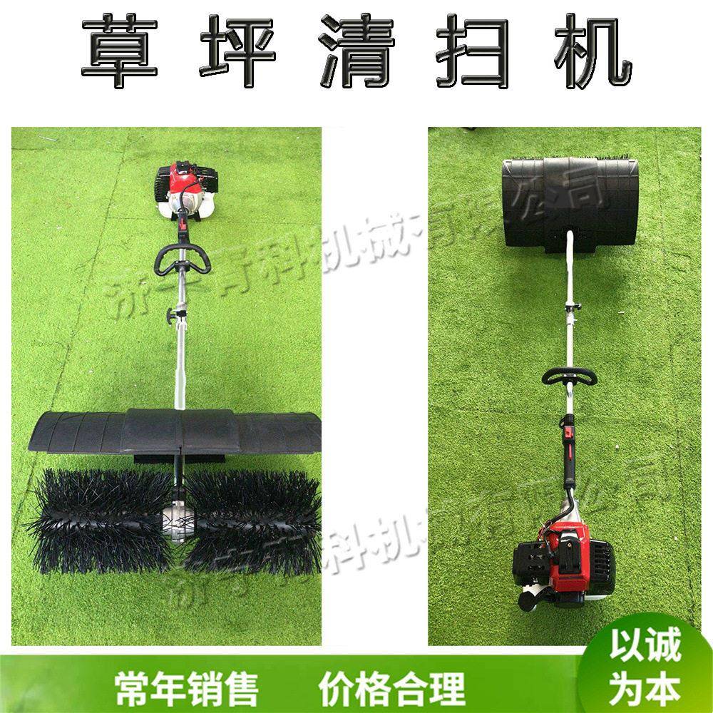 手推式草地清扫机小型人造草坪清理设备足球场草皮表面梳理机
