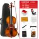 高档克斯蒂娜V03手小提琴等考试初级儿里童成人级乐工器