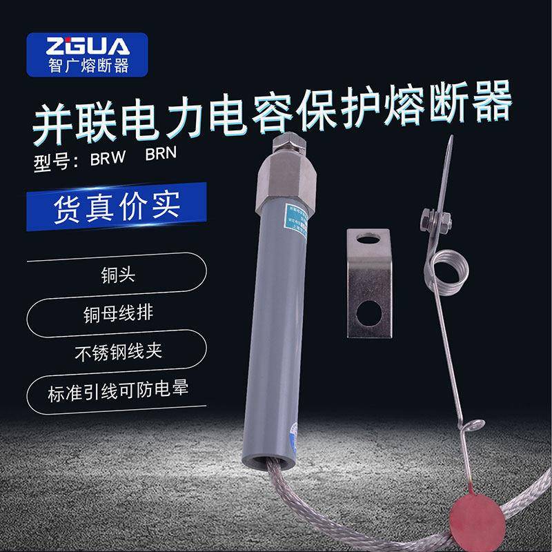 并联电容器单台保护熔断器喷射式BR8WBR2WBRWBRN 200P/110A-200A