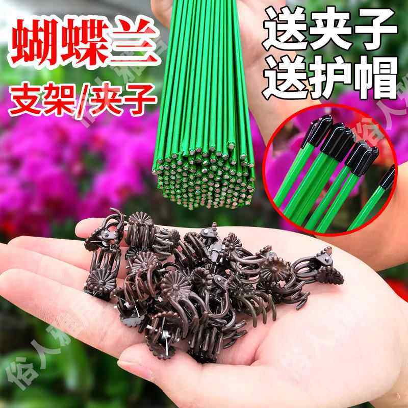 园艺花卉花枝夹子蝴蝶兰花专用造型铁支架蔓藤爬藤植物固定夹子,鲜花速递/花卉仿真/绿植园艺,其它园艺用品,淘宝优惠券,粉丝福利购,淘宝优惠卷