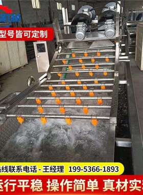 家直果销蔬气泡清洗机 厂黄花菜亿华清洗设备压喷 淋洗菜机价格优