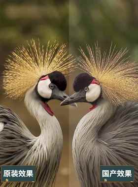 全原装明基投影机灯MX816STMW63325泡2STX63M1STMS6新30STW2540