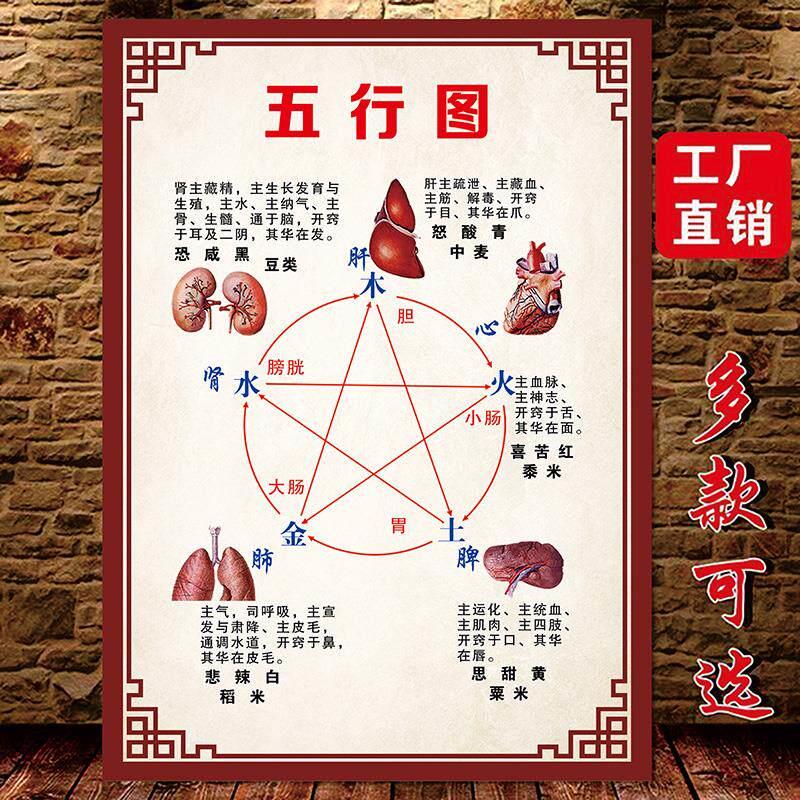 中医养生馆五行图解挂图挂画定制 人体五行五脏相生相克海报贴图