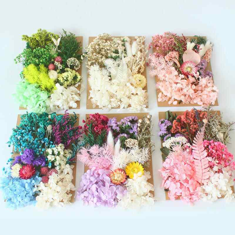 A5袋装干花永生花材料包亚马逊跨境压花干花DIY手工花艺礼品