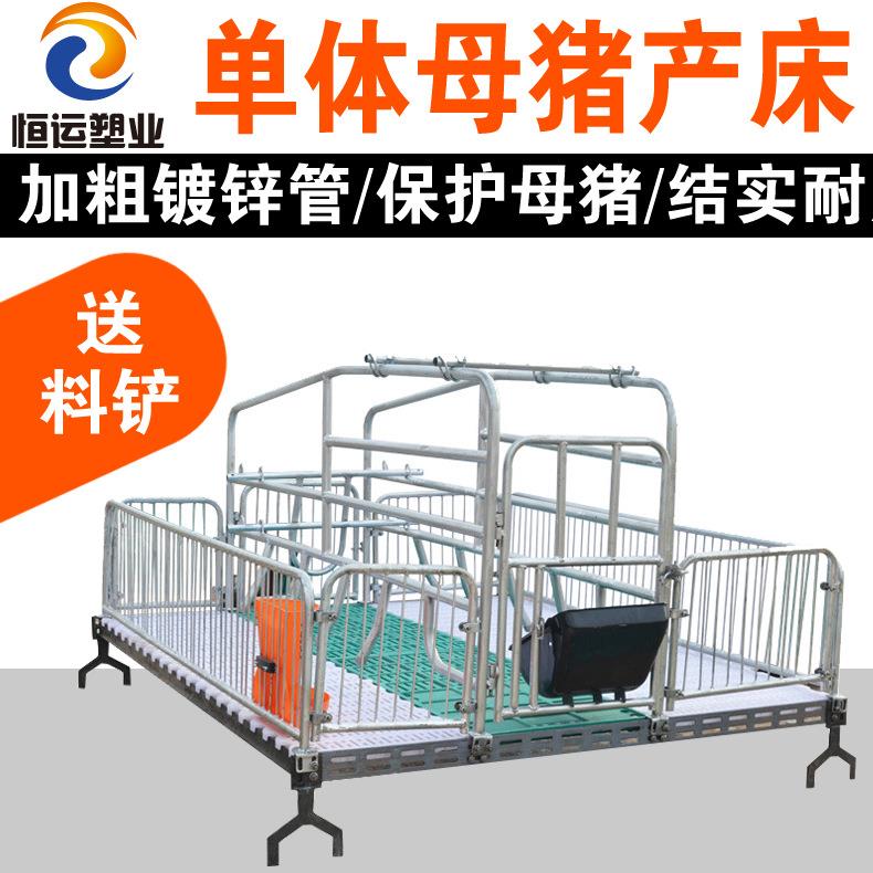 养殖场母猪产床全套镀锌母猪产床一体床欧式母猪产床单体母猪产床