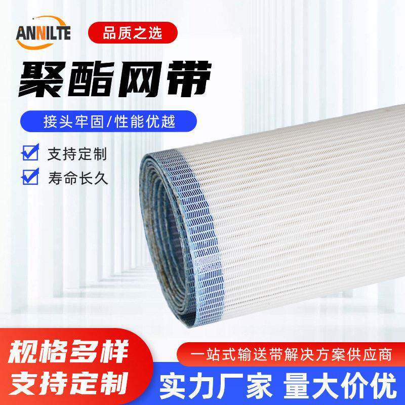 聚酯网带封边加挡板导条果蔬清洗方格网带果汁压榨茶叶烘干分选带