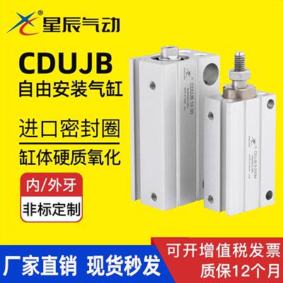 星辰气动CDUJB6/8/10-4/6/8/15/20/30DM/MU小型自由安装气缸 带磁