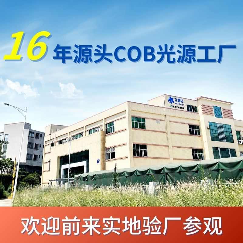 定制大功率双色温cob光源高显高亮cob摄影灯珠倒装led集成面光源