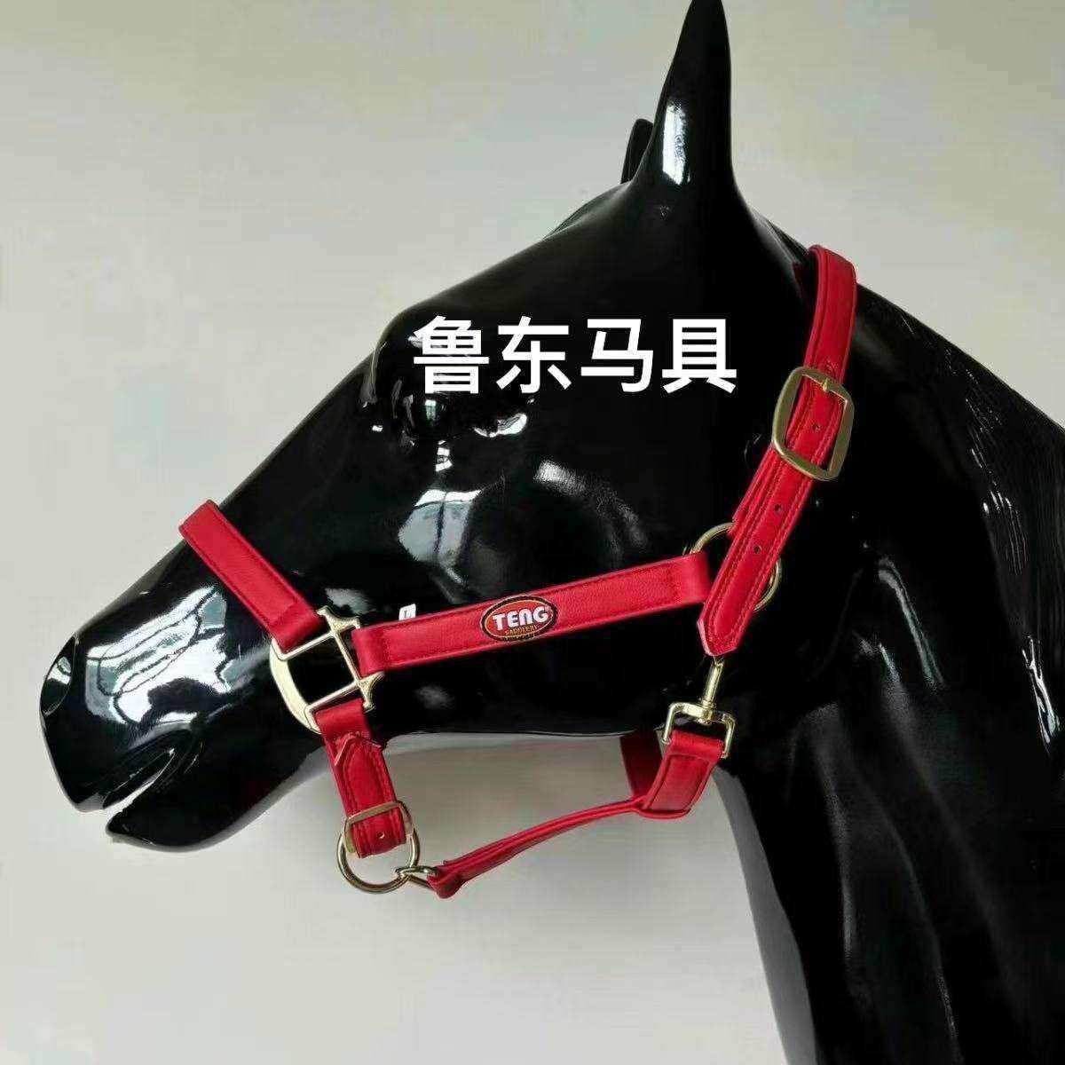 超迁皮马龙头 马术用品牵马笼头笼套 马笼头1.米以上大马用
