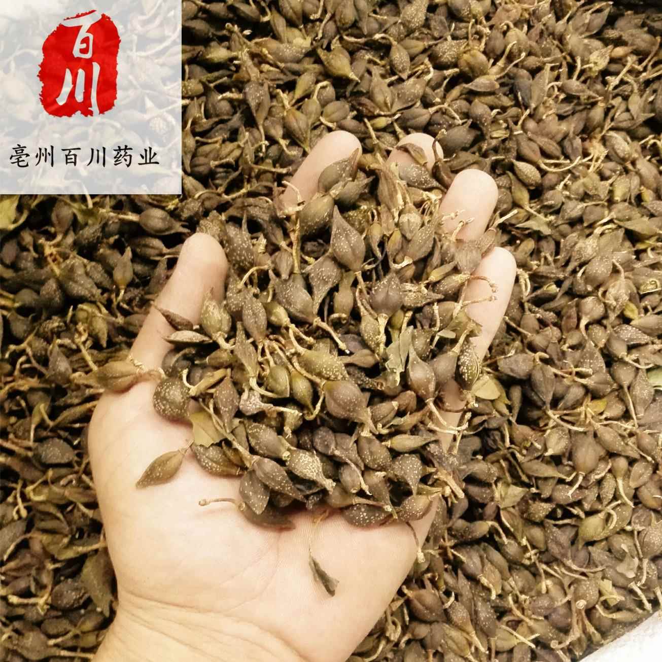 连翘中药材连翘青翘一斤500g 实物拍照 15天无条件退