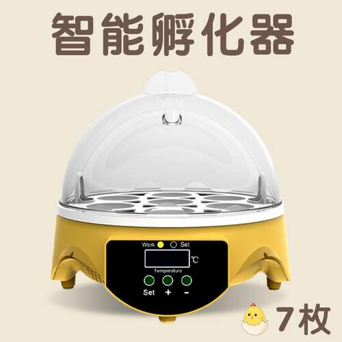 豪华德HHD厂家家用小型自动孵化机智能小鸡孵化机7枚孵蛋器