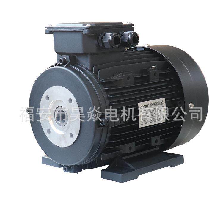 ZOZHI三相内轴高压清洗机电机HS-90L1-41.5KW/2.2HP