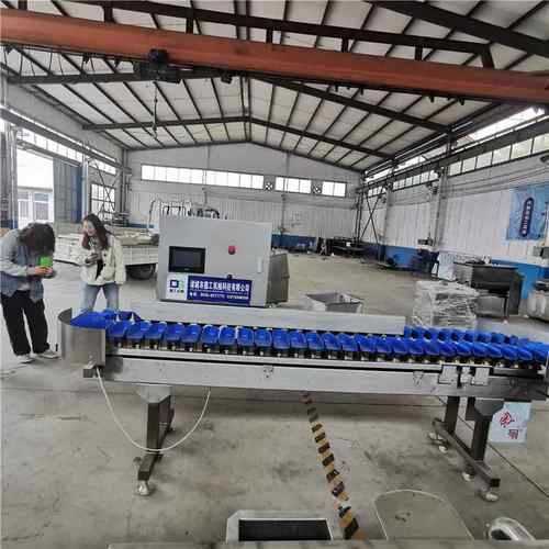 食品水果重量分选机鲍鱼海参重量分选机自动化智能分拣机