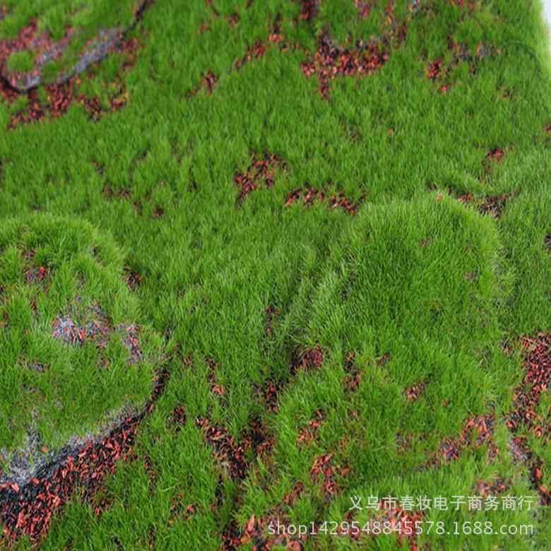 仿真苔藓草坪 景观草坪 室内苔藓草皮 场景橱窗造景 微景观假草坪